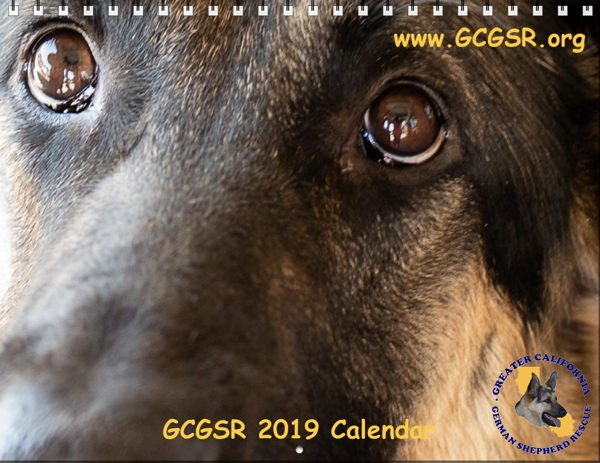 GCGSR 2019 Calendar Cover
