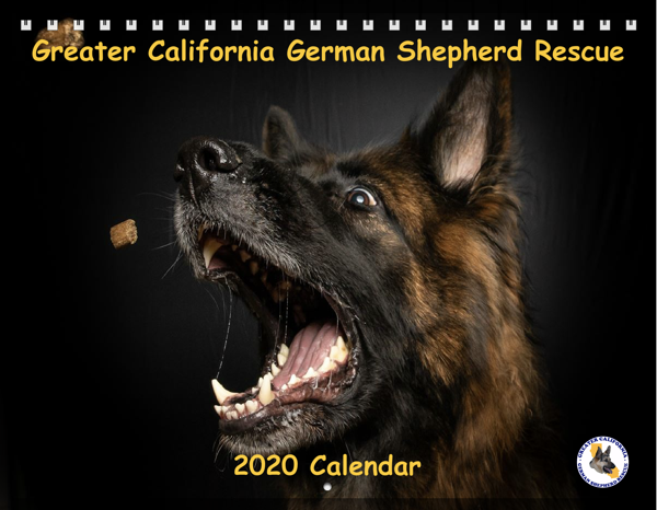GCGSR 2020 Calendar Cover