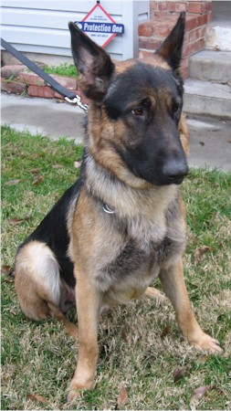 gsd